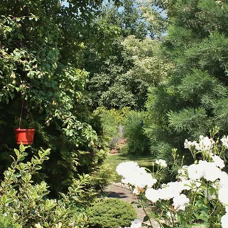 Aranykert Vendeghaz Erlau