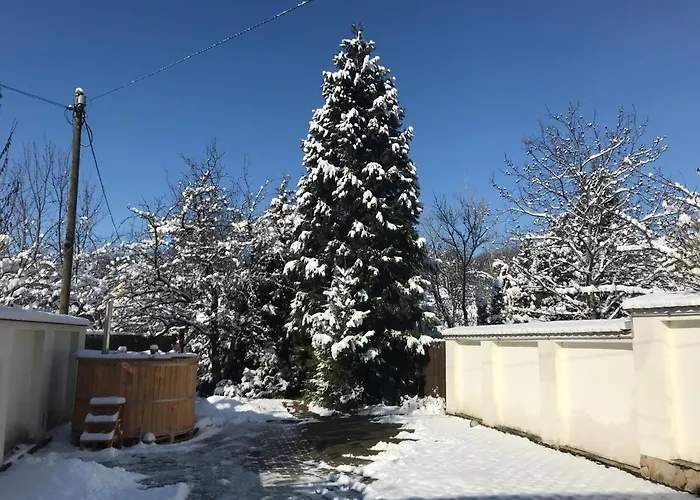 Guest house Aranykert Vendeghaz