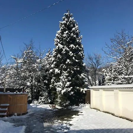 Penzion Aranykert Vendeghaz