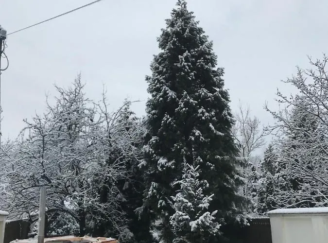 Guest house Aranykert Vendeghaz 4*