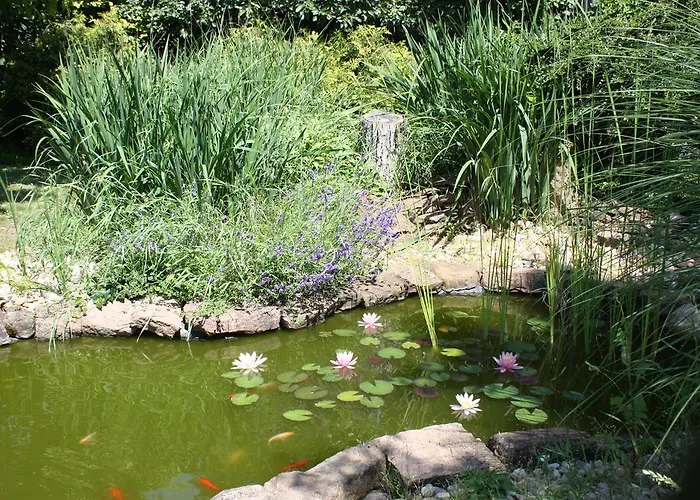 Guest house Aranykert Vendeghaz